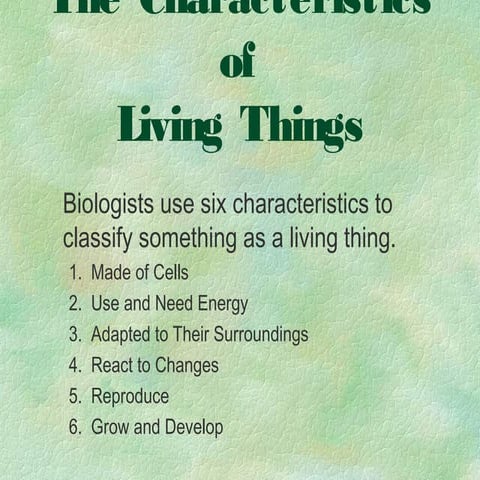 Characteristics Of Living Things | PPTX
