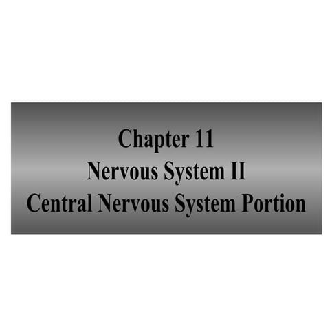 Ch. 11 CNS