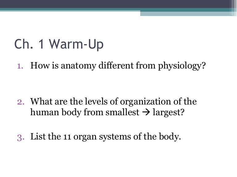 Anatomy Physiology Lecture Notes Ch 1 Introduction