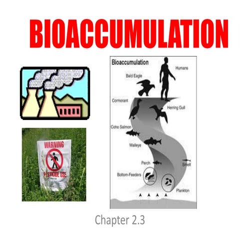 Bioaccumulation