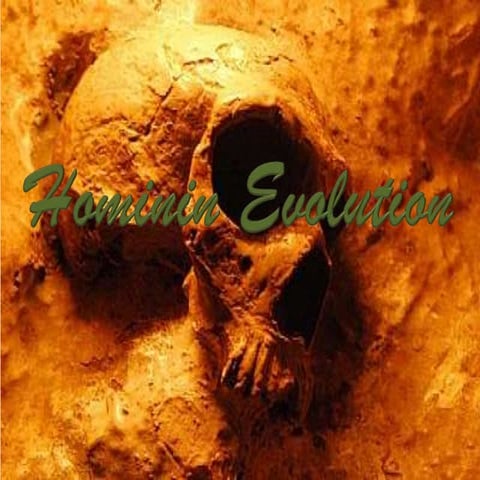 Ch. 15  Hominin Evolution