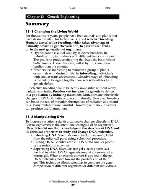 Biology - Chp 13 - Genetic Engineering - Study Guide | DOC