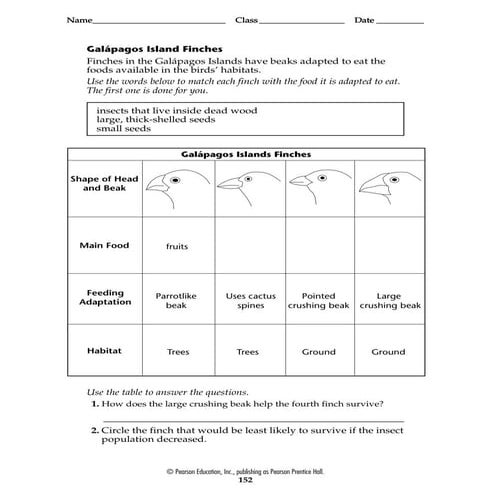 Ch. 16 Speciation WS | PDF