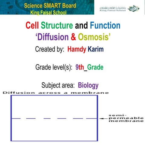 Ch.4 diffusion and osmosis By Hamdy Karim | PPT