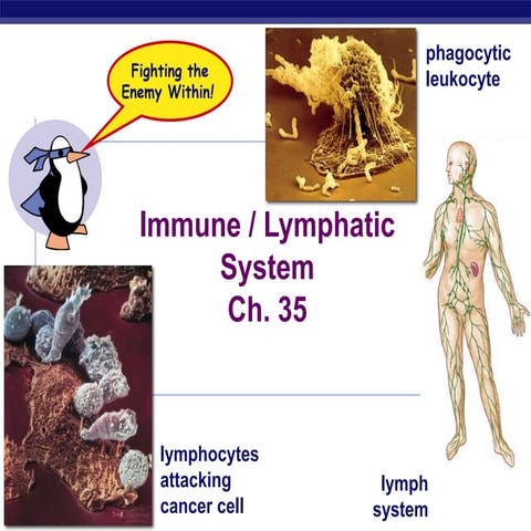AP Biology Ch. 35 Immune System 
