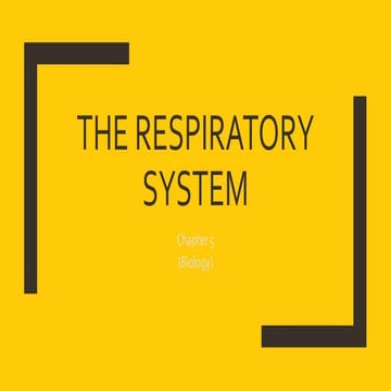 Ch.5. the respiratory system