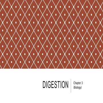 Ch.3.digestion