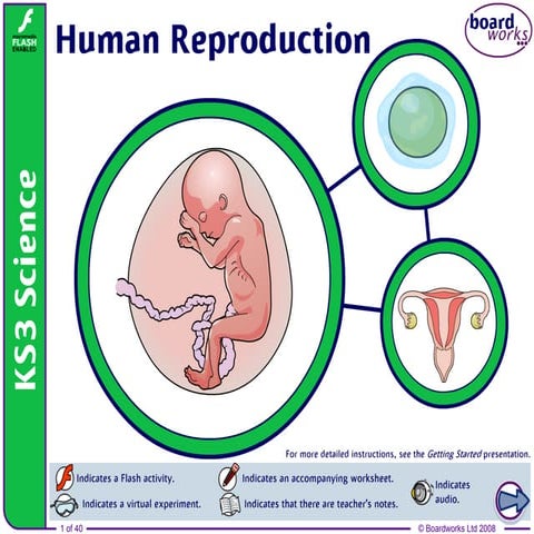 Ch.6.reproduction in humans