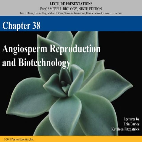 Ch. 38: Angiosperm Reproduction and Biotechnology