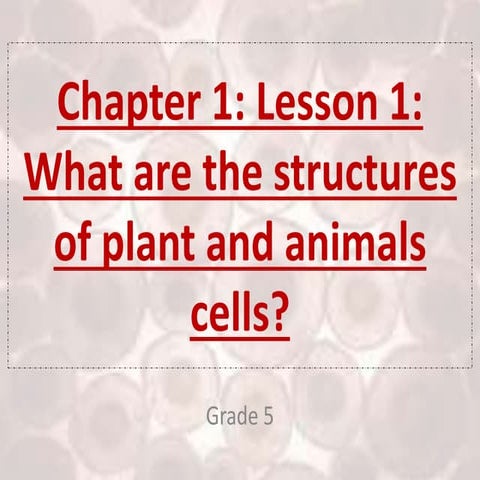 Ch.1.less.1. what are the structures of plant and animals cells