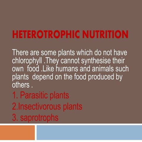 Ch 1; heterotrophic nutrition