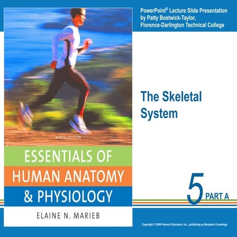 Ch. 5 Lecture - Skeletal System (marieb).ppt.pdf