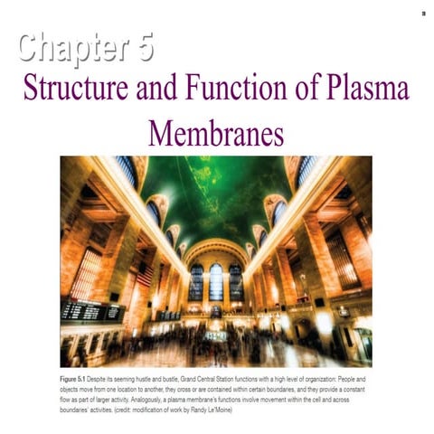 Ch.05.pptx for school downloaded on structure and function of cells | PPTX