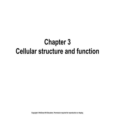 Chapter 3 - Cellular Structure and Function | PPT