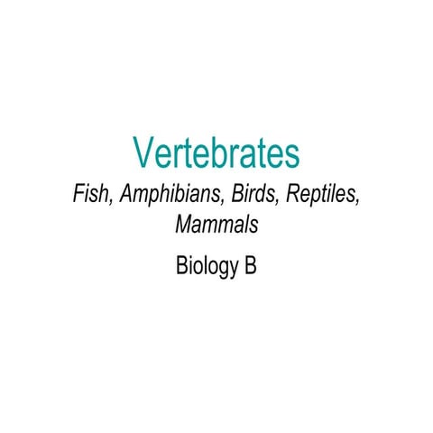 Ch. 25 to 27   vertebratesrevised