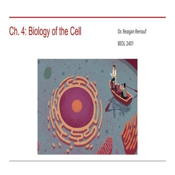 Comprehensive Overview of Cell Biology: Structure, Function, and ...