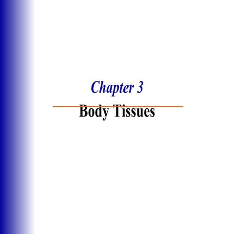 Ch 3 Tissue Types