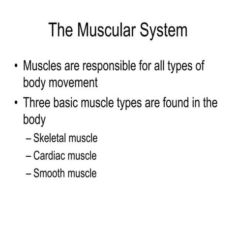 Ch 6-muscular-system
