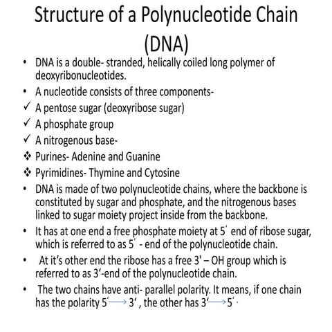 CH- 6 MOLECULAR BASIS OF INHERITANCE (1).pdf