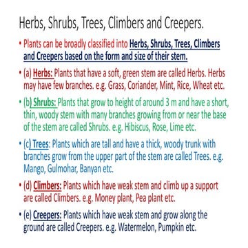 Ch-9_Sc_Plants-Structure-and-functions.pptx