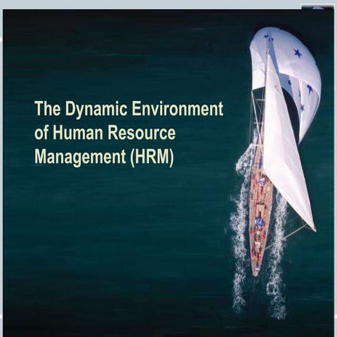 The Dynamic Environment of Human Resource Management (HRM)
