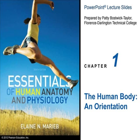 ch_01-the-human-body-organization (1).ppt