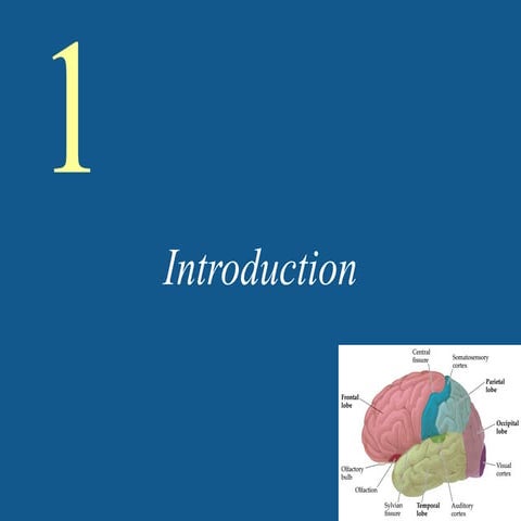 Ch01LectureDon.ppt Ch01LectureDon.ppt Ch01LectureDon.ppt