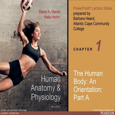 Ch1 Human body Part A