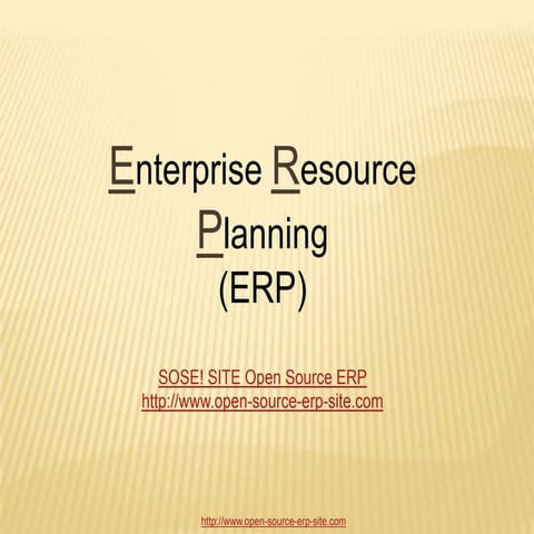 Ch02 mis-erp presentation