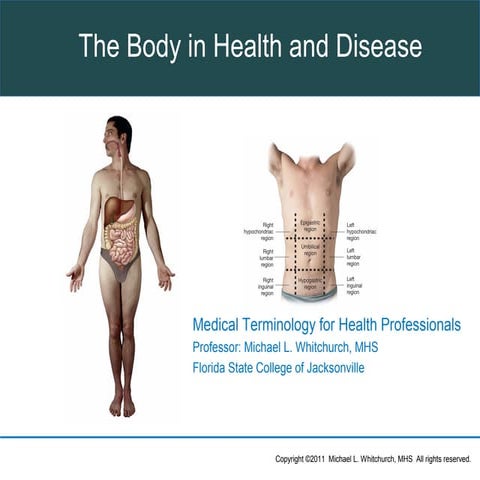 Ch02 body organization_2013