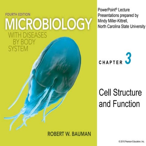 Ch03lecturepresentation 150831182354-lva1-app6892