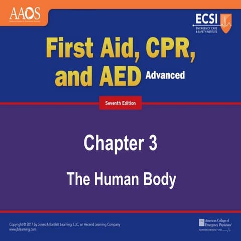 Ch03 presentation human_body