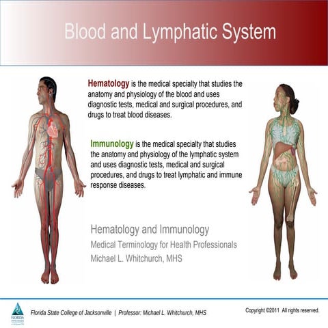 Blood and Immune System