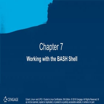 Powerpoint on Chapter 7 focusing on Linux BASH | PPT