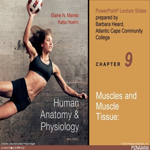  Ch 09 Muslces and Muslce Tissue Gillette College