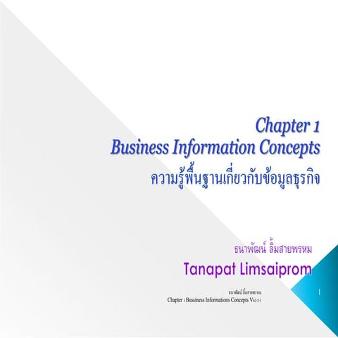 Ch1 Business Information foundation concept | PDF