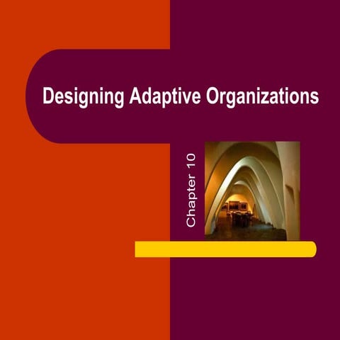 Chapter 10 Designing Adaptive Organizations