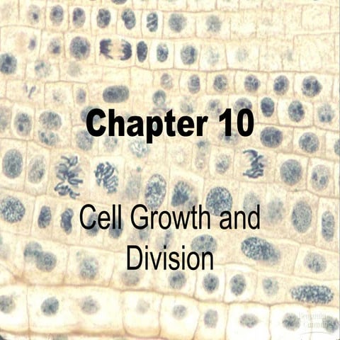 Biology - Chp 10 - Cell Growth And Reproduction - PowerPoint | PPT