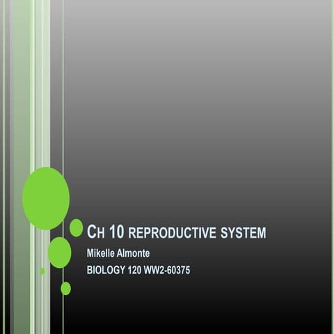 Ch 10 Reproductive System Presentation