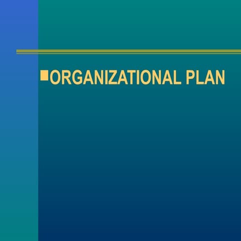 Ch 11.1 org plan