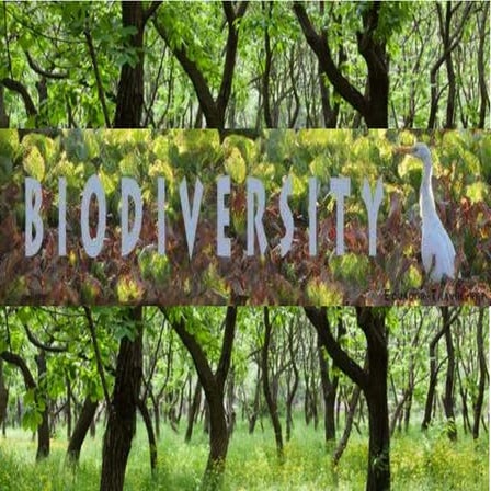 nios Std X Social Science Ch 11biodiversity