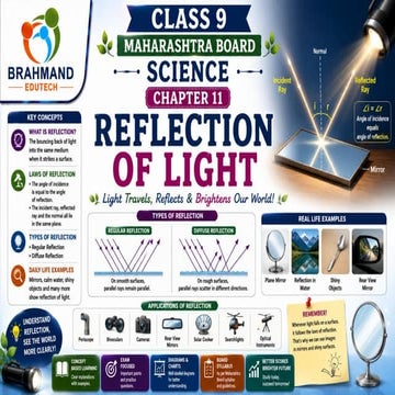 Ch 3 Tissues in action | Science | Exploration | Class 9 | CBSE | PDF