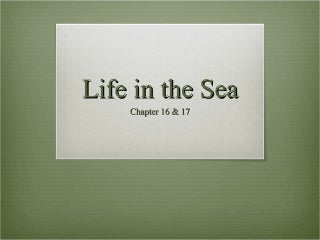 Georgia Habitats Atlantic Ocean | PPT