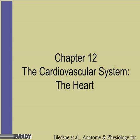 Ch. 12 | PPT