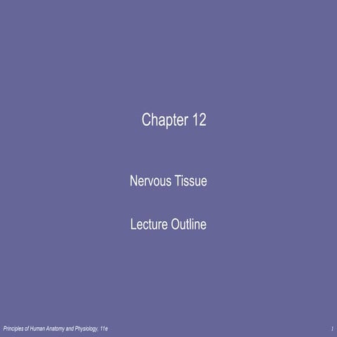 nervous tissue And neurons, peripherial and central nervous system ...