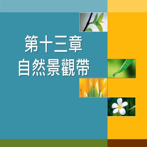 geo1-L13自然景觀帶