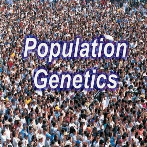 Ch. 13 Population genetics
