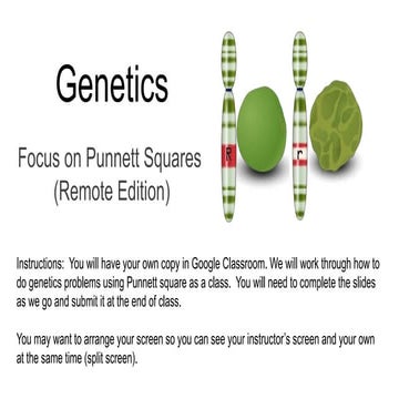 Ch 13 Genetics - Punnett Squares (R).pptx