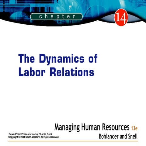 Chapter 14 The Dynamics of Labor Relations