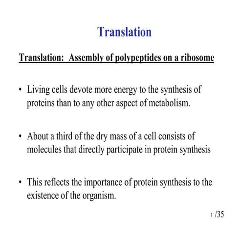 Translation | PPT